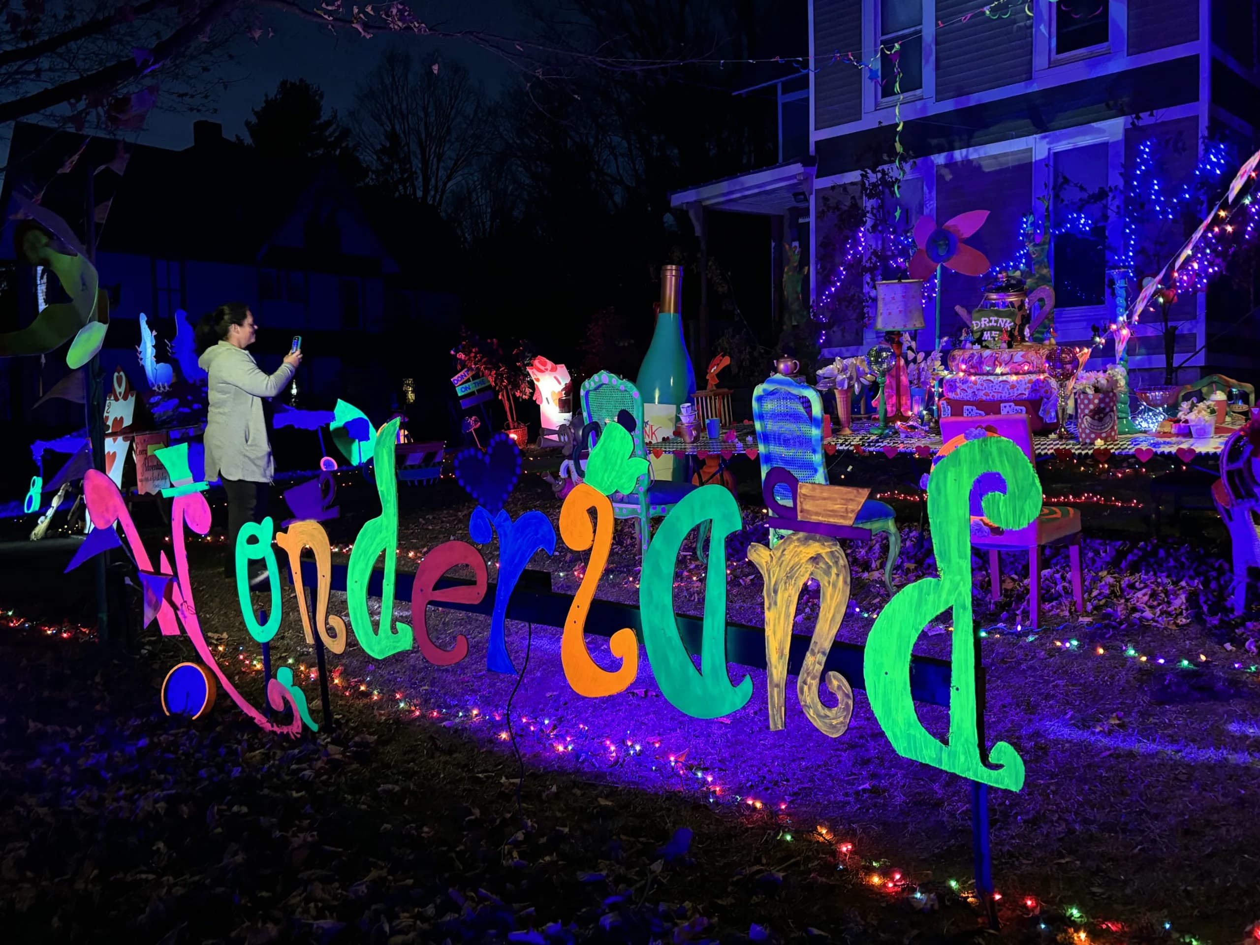 The 2024 lawn — Alice in Wonderland